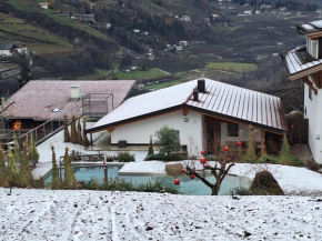 Apfel Chalet Feldhof